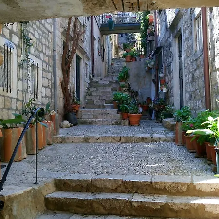 Center Daire Dubrovnik