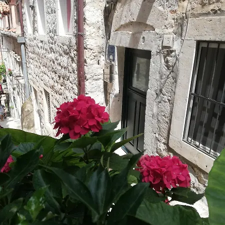 Center Apartment