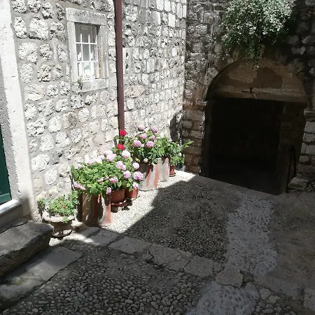 Center Apartment